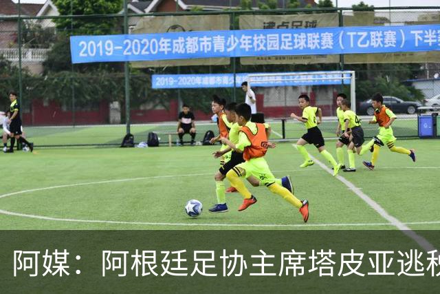 阿媒：阿根廷足协主席塔皮亚逃税上诉被驳回，确认将被起诉